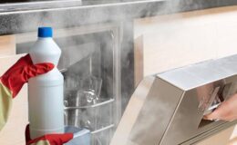 Çamaşır Suyu Bulaşık Makinesinde: Neden Güvensiz ve Alternatifler