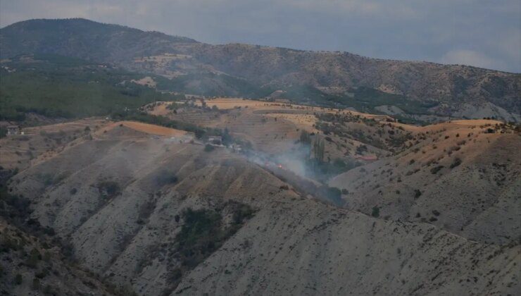 Dodurga’da Yangınla Mücadele: Yaklaşık 10 Dekar Ağaçlık Zarar Gördü