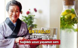 Japonların Günlük Disiplini ve Sağlıklı Yaşam Alışkanlıkları: Besleyici Pratikler ve Kolay Tarifler