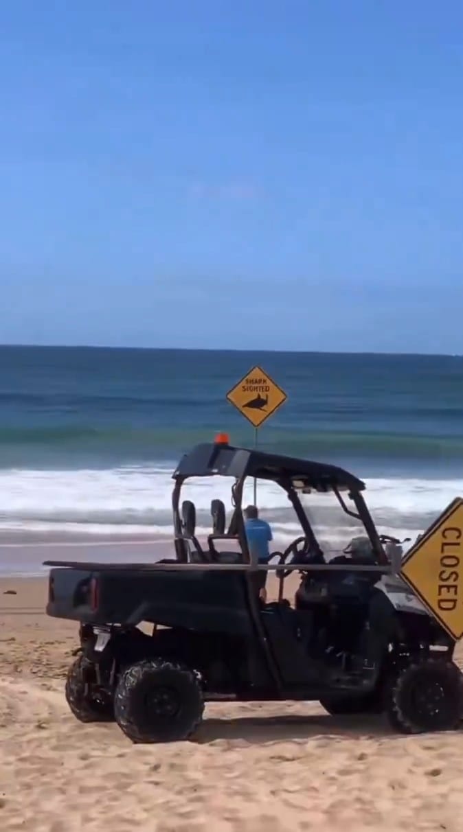 New South Wales’ Long Reef: Sörfçünün Trajik Köpekbalığı Saldırısı ve Sahillerin Kapatılması