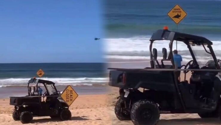 New South Wales’ Long Reef: Sörfçünün Trajik Köpekbalığı Saldırısı ve Sahillerin Kapatılması